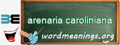 WordMeaning blackboard for arenaria caroliniana